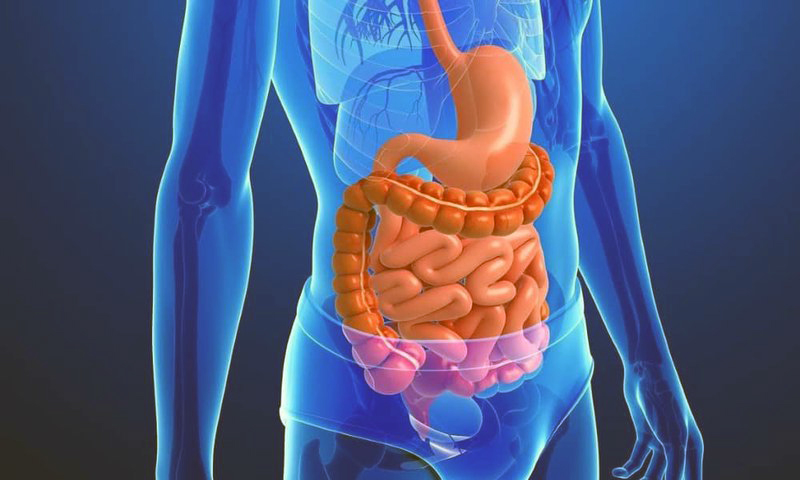 Saiba Mais Sobre os Sintomas e Tratamentos do Câncer Gastrointestinal