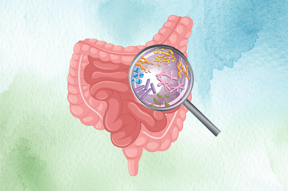 Giardíase | Infecção do Intestino Delgado
