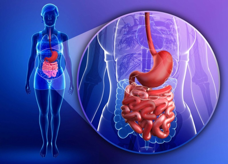 Saiba quais são os Fatores de Risco dos Tumores Gastrointestinais